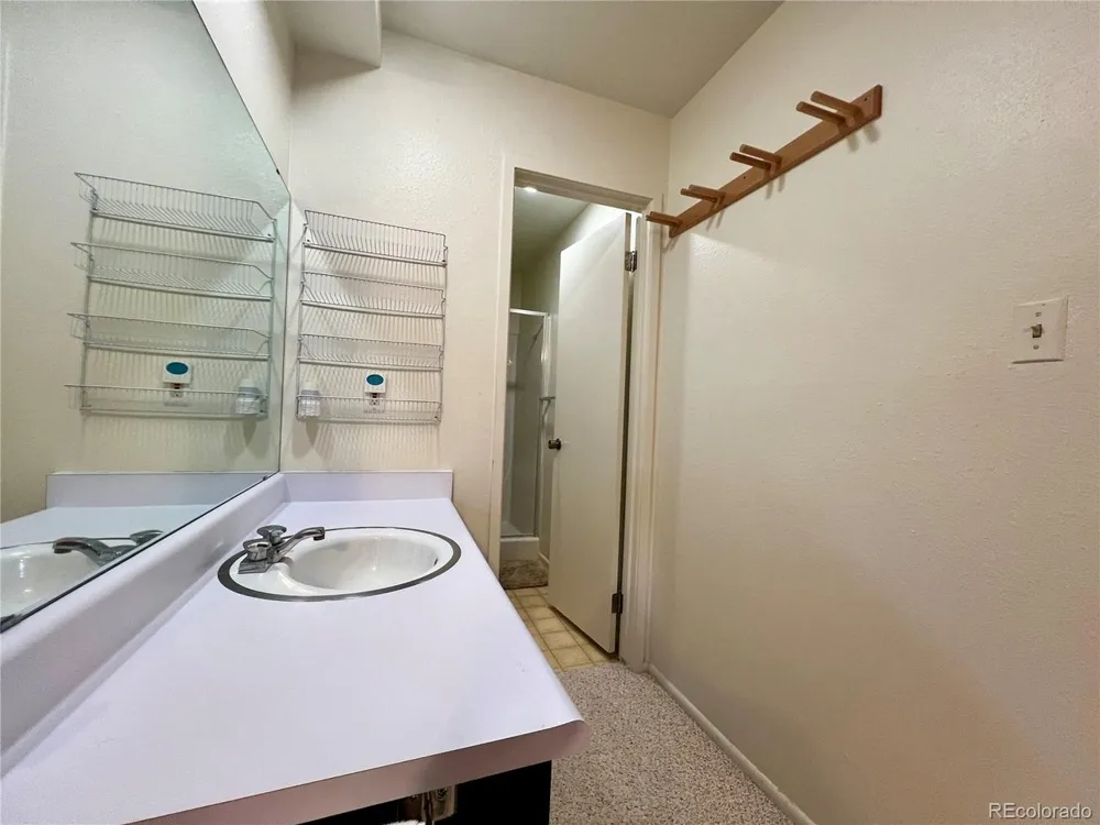 244 Lodgepole Street #15 Dillon, CO 80435