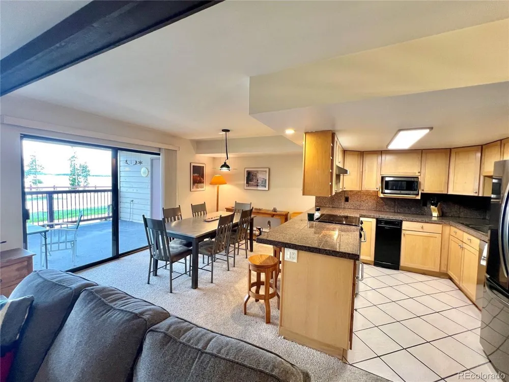 244 Lodgepole Street #15 Dillon, CO 80435