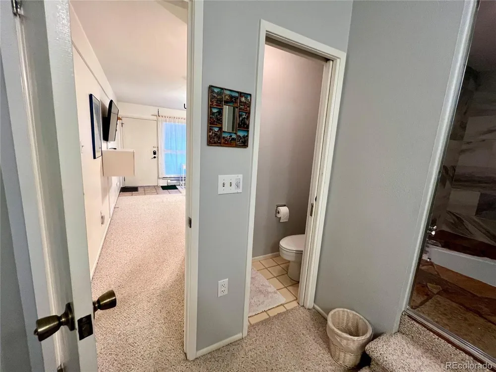 244 Lodgepole Street #15 Dillon, CO 80435