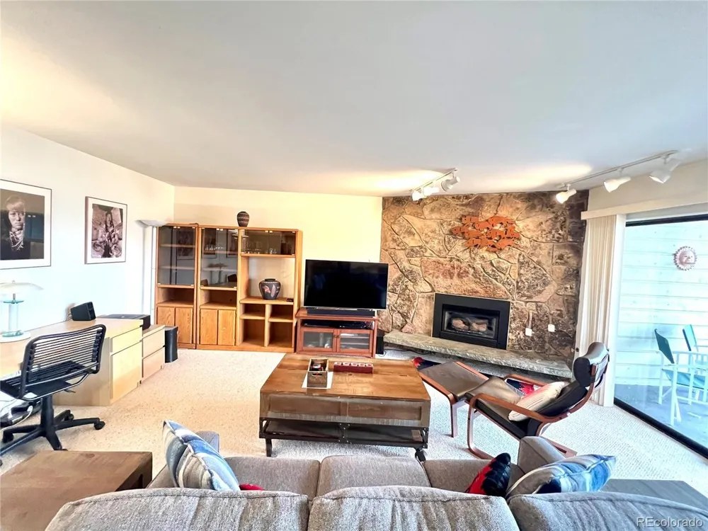 244 Lodgepole Street #15 Dillon, CO 80435