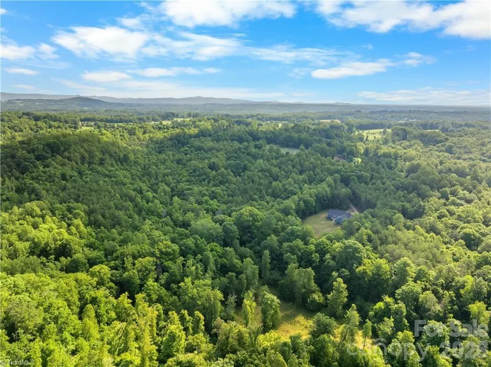 274 Echo Hollar Road Westfield, NC 27053