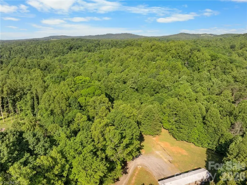274 Echo Hollar Road Westfield, NC 27053