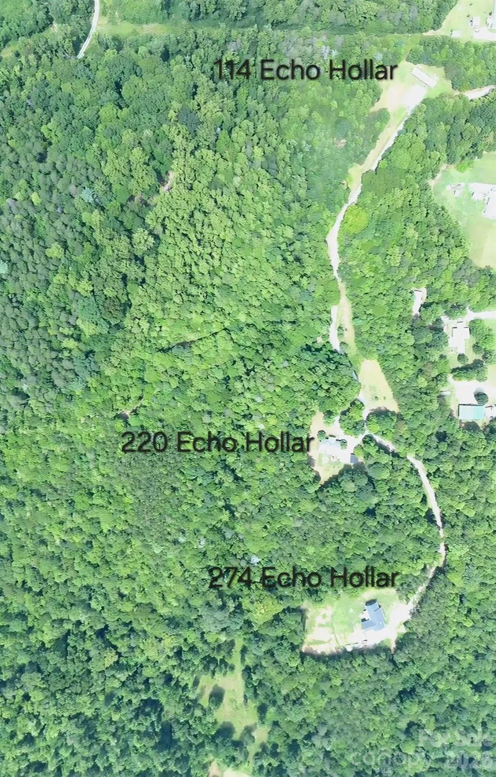 274 Echo Hollar Road Westfield, NC 27053