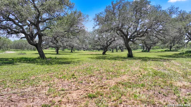 11919 County Road 127 Kenedy, TX 78119