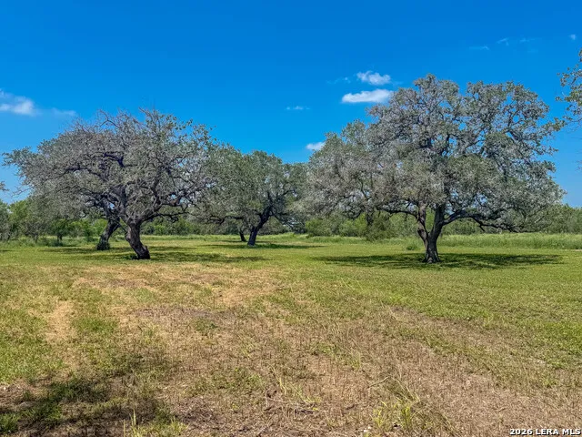 11919 County Road 127 Kenedy, TX 78119