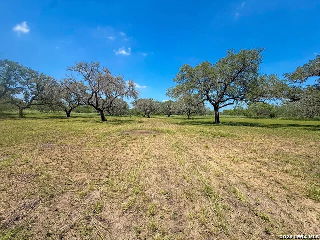 11919 County Road 127 Kenedy, TX 78119