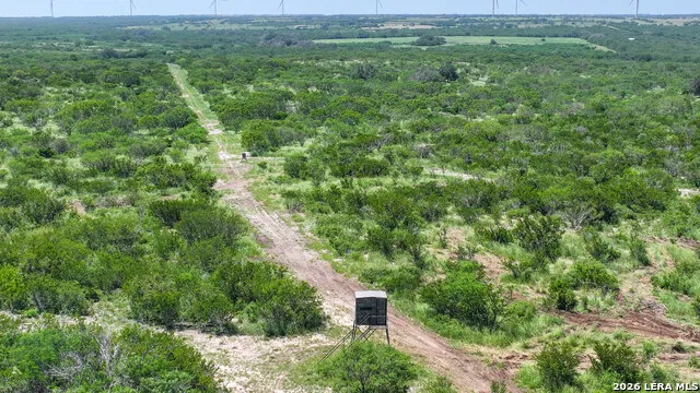 11919 County Road 127 Kenedy, TX 78119