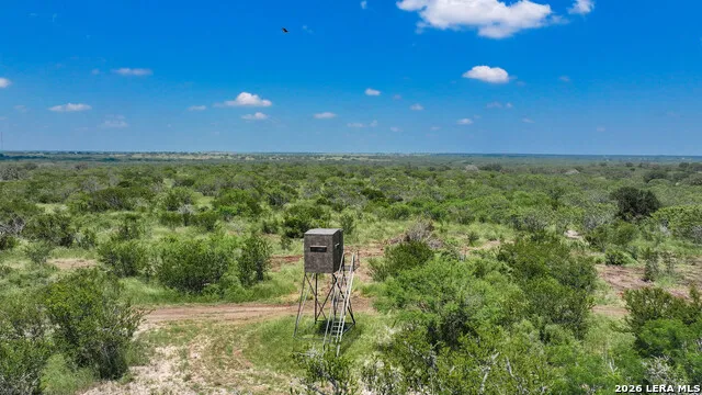 11919 County Road 127 Kenedy, TX 78119