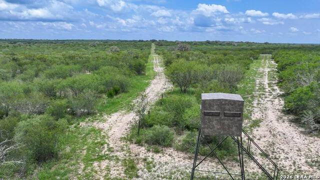 11919 County Road 127 Kenedy, TX 78119