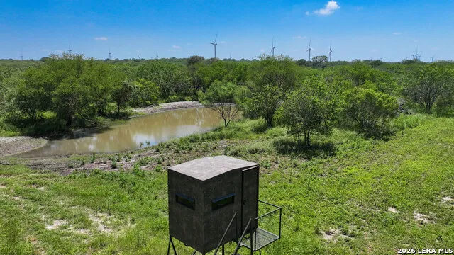 11919 County Road 127 Kenedy, TX 78119