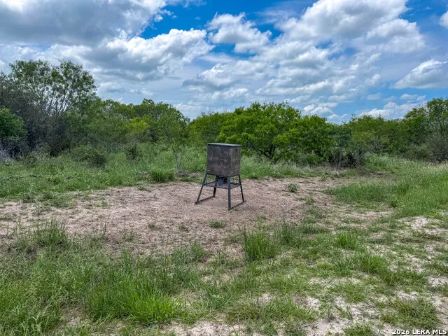11919 County Road 127 Kenedy, TX 78119