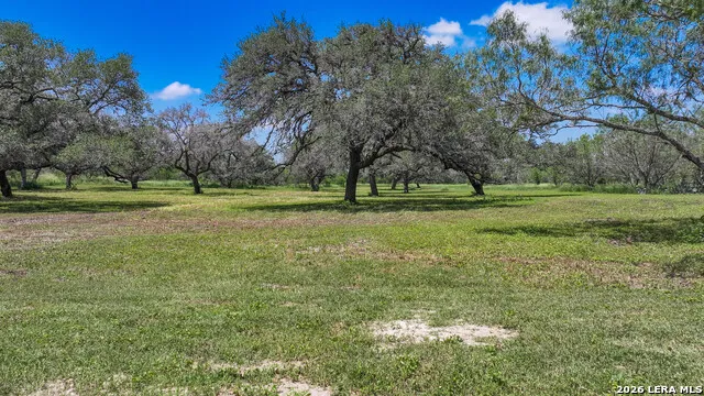 11919 County Road 127 Kenedy, TX 78119