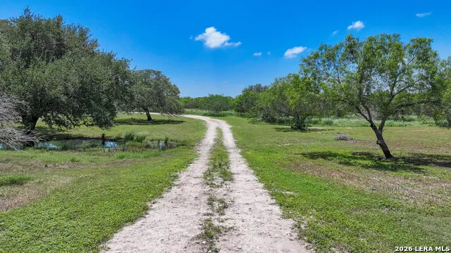11919 County Road 127 Kenedy, TX 78119