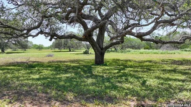 11919 County Road 127 Kenedy, TX 78119