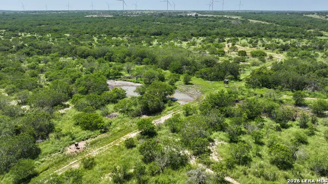 11919 County Road 127 Kenedy, TX 78119