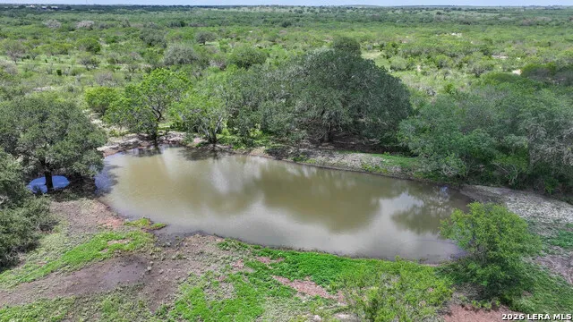 11919 County Road 127 Kenedy, TX 78119