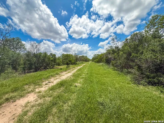 11919 County Road 127 Kenedy, TX 78119