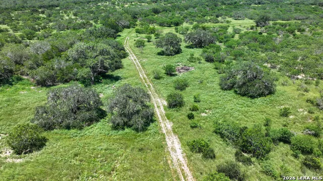11919 County Road 127 Kenedy, TX 78119