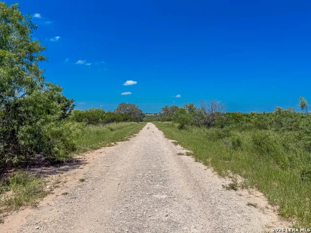11919 County Road 127 Kenedy, TX 78119