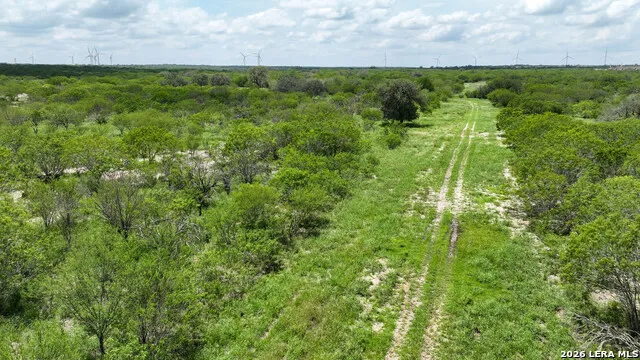 11919 County Road 127 Kenedy, TX 78119
