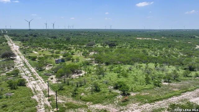 11919 County Road 127 Kenedy, TX 78119
