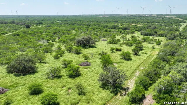 11919 County Road 127 Kenedy, TX 78119
