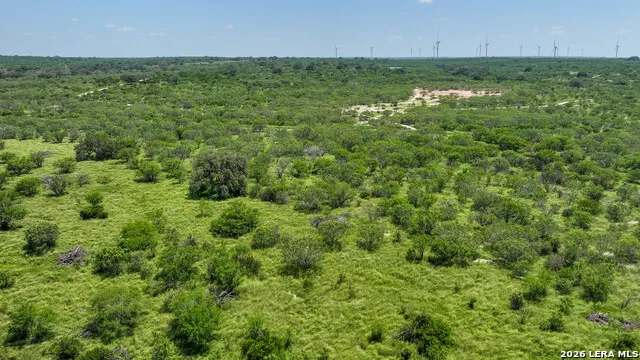 11919 County Road 127 Kenedy, TX 78119