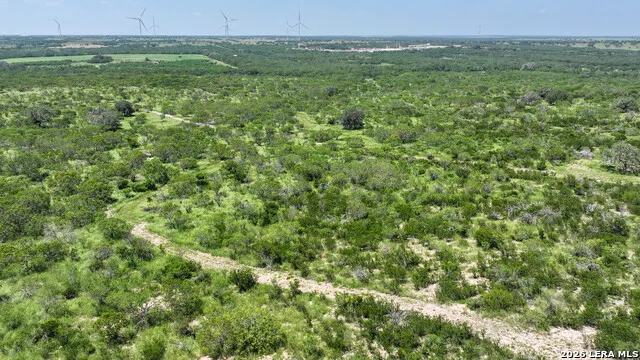 11919 County Road 127 Kenedy, TX 78119