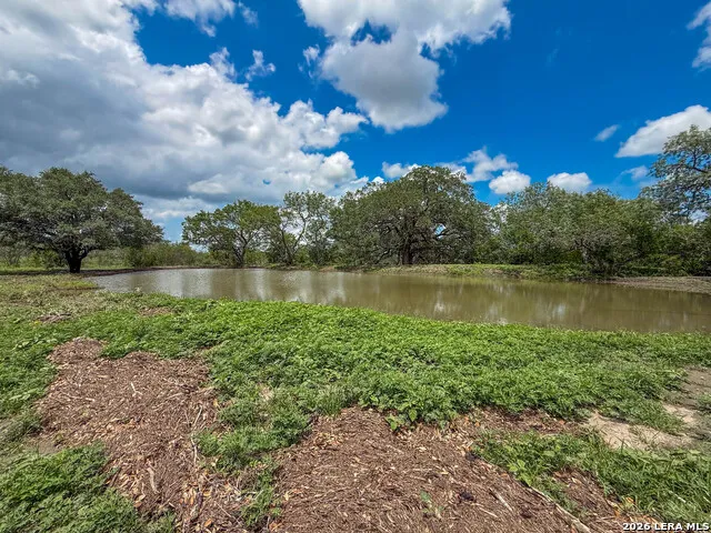 11919 County Road 127 Kenedy, TX 78119