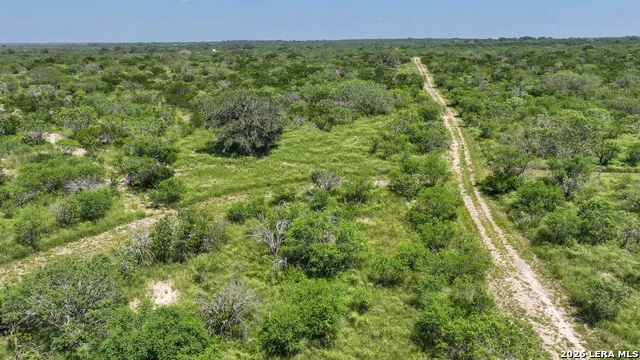 11919 County Road 127 Kenedy, TX 78119