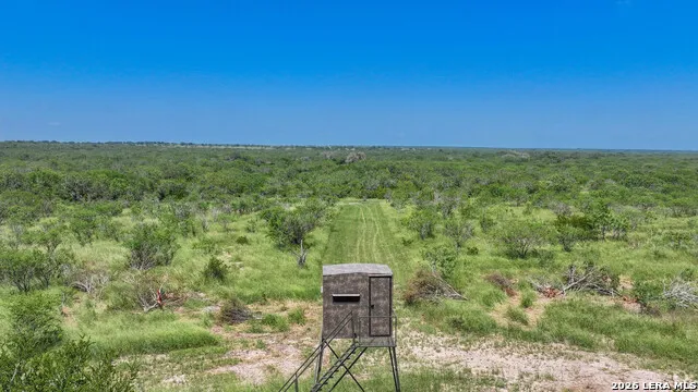 11919 County Road 127 Kenedy, TX 78119