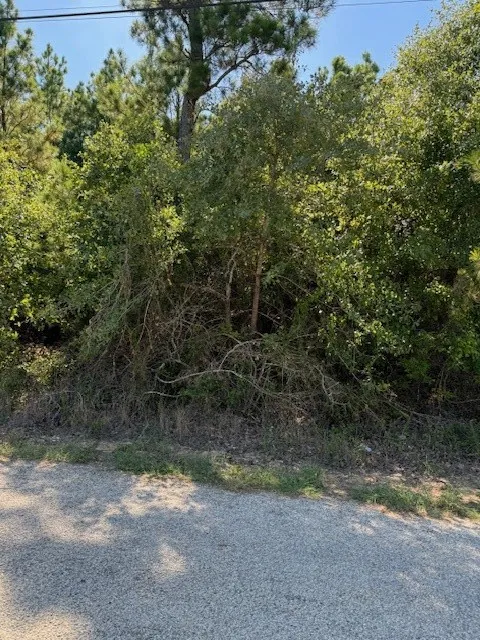 1355 Kaupo Drive