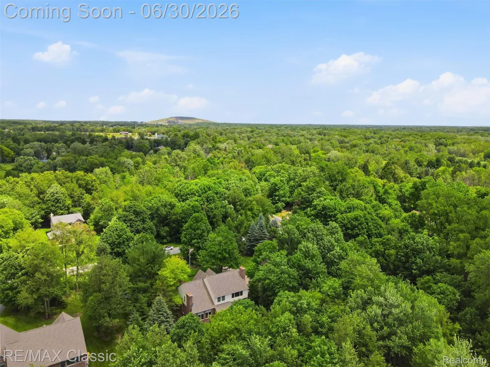 8033 Pine Ridge Court Salem Township, MI 48168