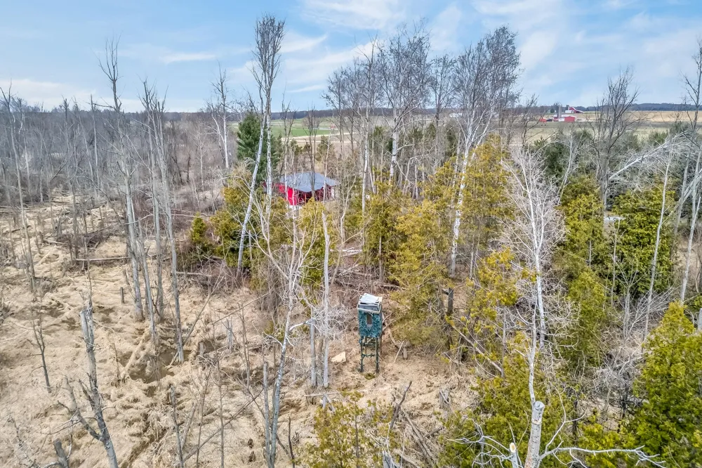 875 E Jackson Road Hart, MI 49420