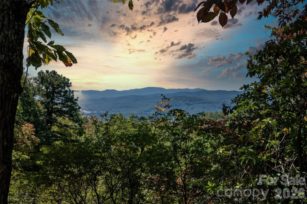 99999 Mountain Grove Lane #48 Fletcher, NC 28732