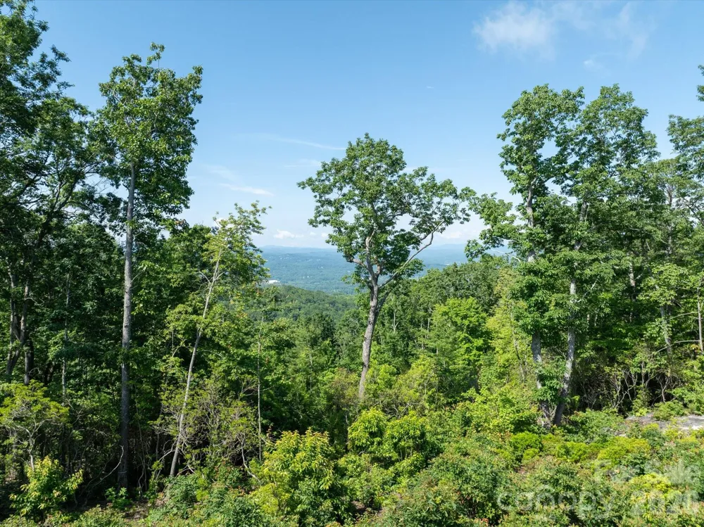 99999 Mountain Grove Lane #48 Fletcher, NC 28732