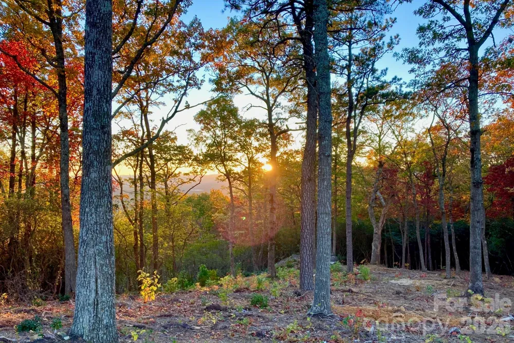 99999 Mountain Grove Lane #48 Fletcher, NC 28732