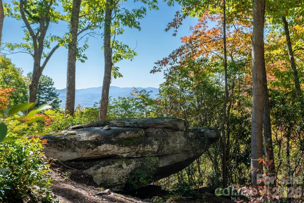 99999 Mountain Grove Lane #48 Fletcher, NC 28732