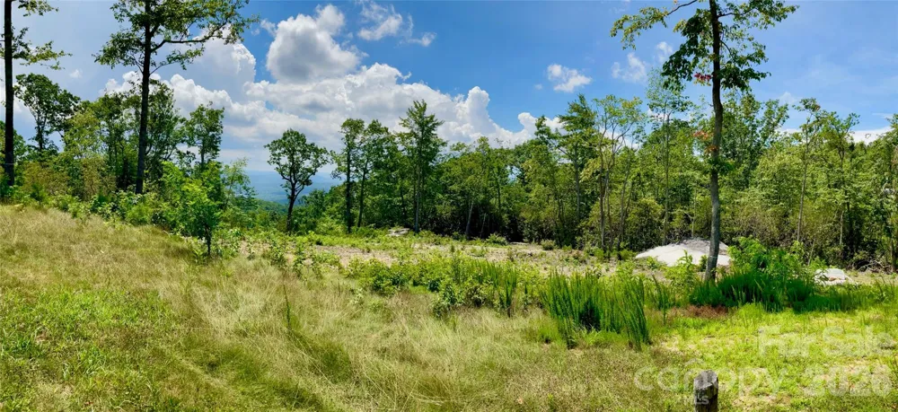 99999 Mountain Grove Lane #48 Fletcher, NC 28732