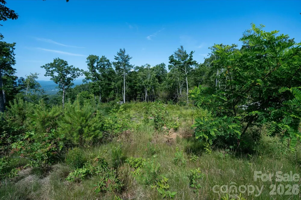 99999 Mountain Grove Lane #48 Fletcher, NC 28732