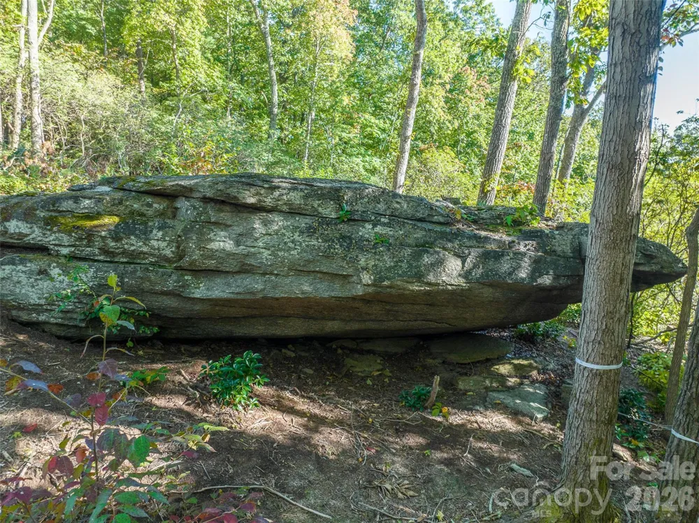 99999 Mountain Grove Lane #48 Fletcher, NC 28732