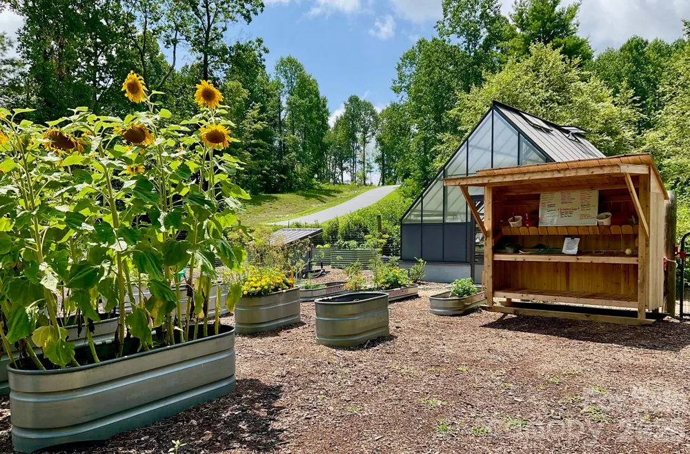 99999 Mountain Grove Lane #48 Fletcher, NC 28732