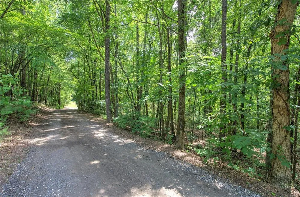 331 Salacoa Road SE Fairmount, GA 30139