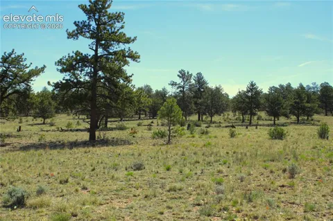 31572 Highway 9