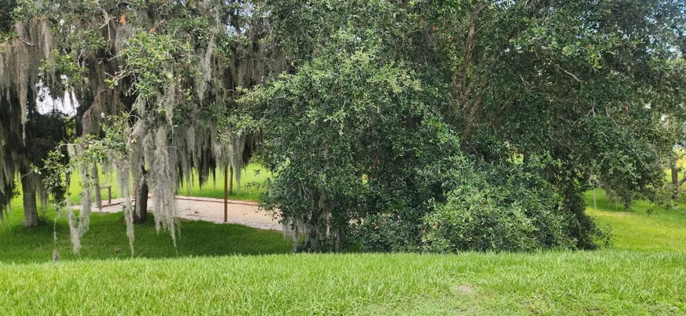 3316 FISH HAWK DR Polk City, FL 33868