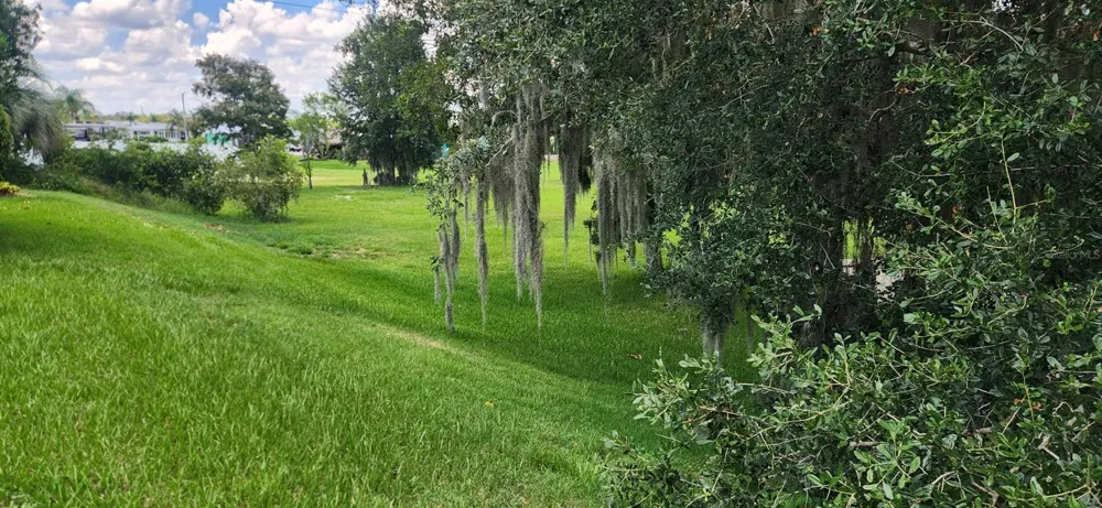3316 FISH HAWK DR Polk City, FL 33868