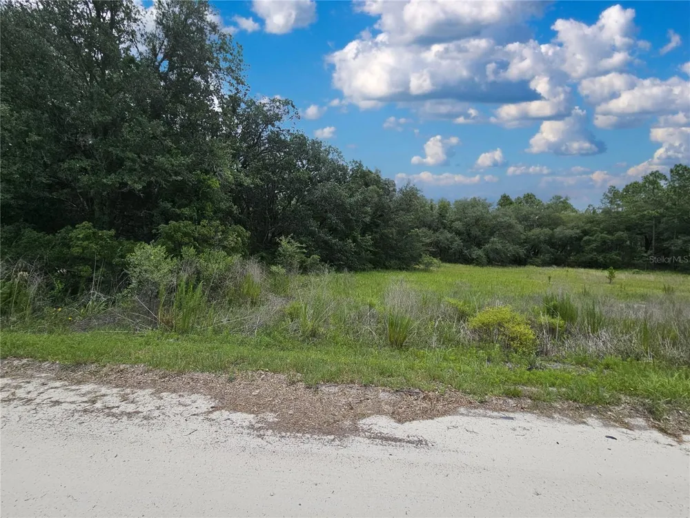 11751 SE 57TH STREET Morriston, FL 32668