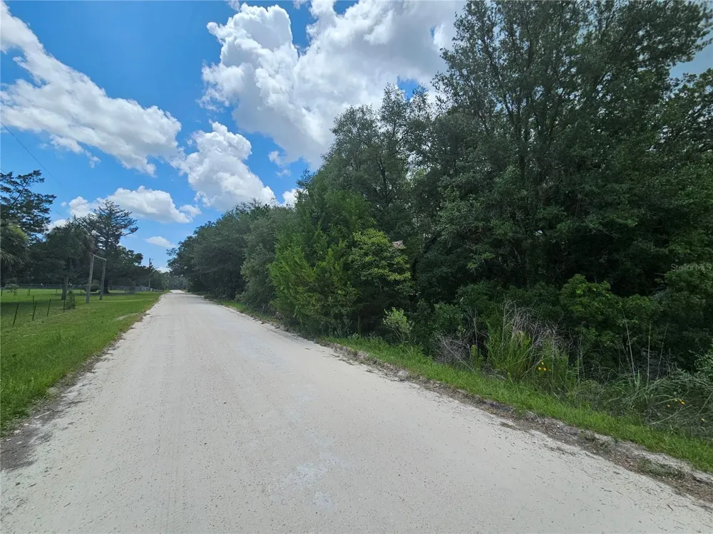 11751 SE 57TH STREET Morriston, FL 32668