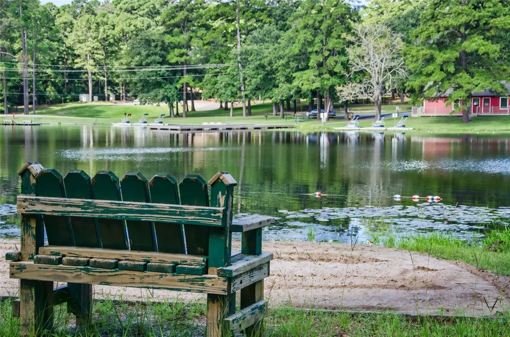 108 Old Barn Circle Holly Lake Ranch, TX 75765