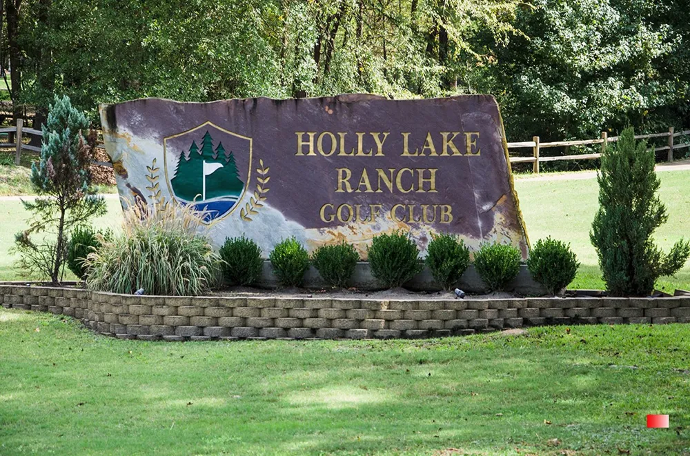 108 Old Barn Circle Holly Lake Ranch, TX 75765